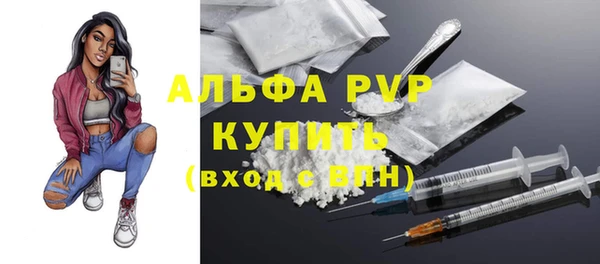СК Надым
