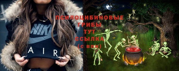СК Надым