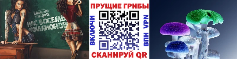 Купить  Урень  Псилоцибиновые грибы Cubensis 