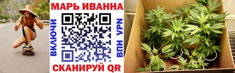 Конопля конопля Урень